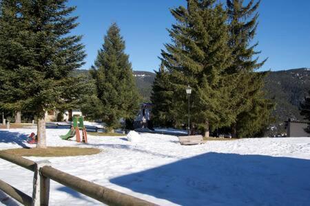 Apartament Font Dels Recons La Molina  Extérieur photo